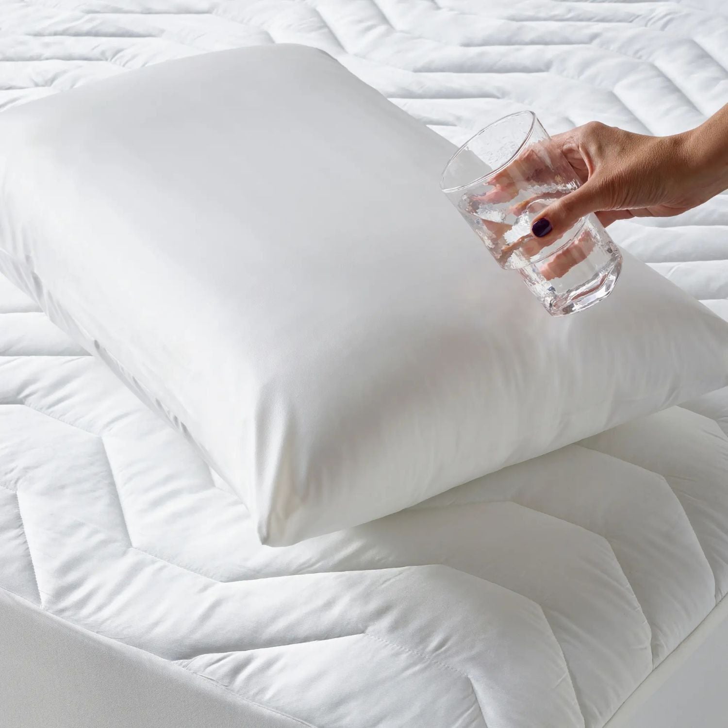 Staydry Staydry Duratherme Pillow Protector