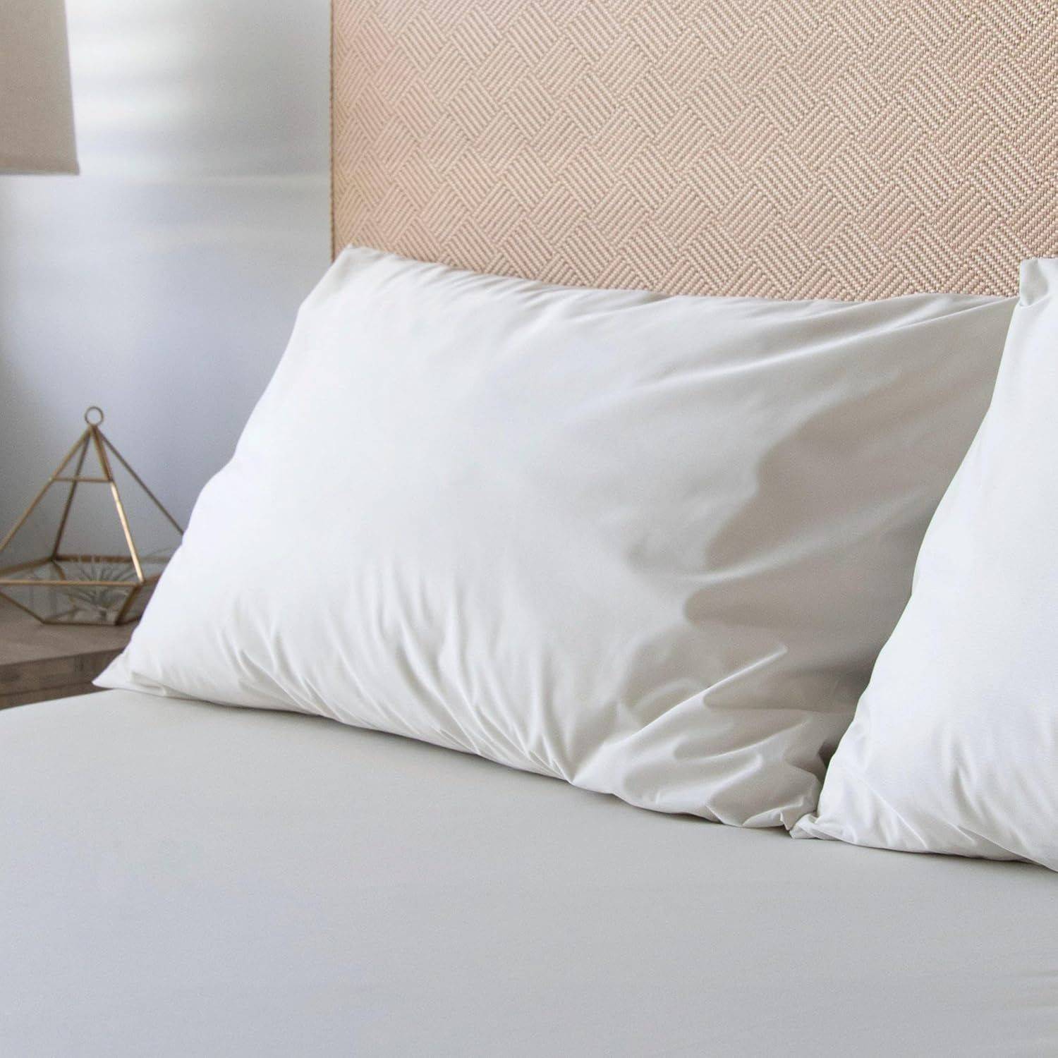Conni Conni Standard Pillow Protector